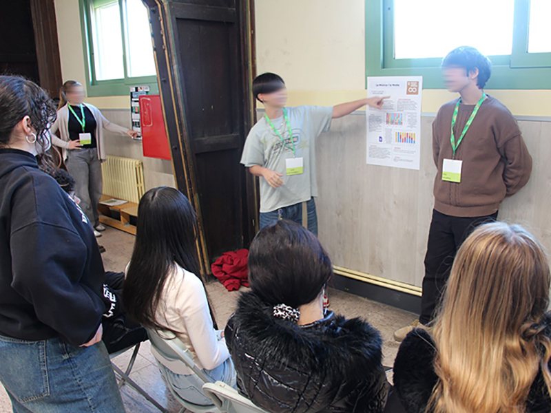 El pòster com a instrument d’avaluació formativa