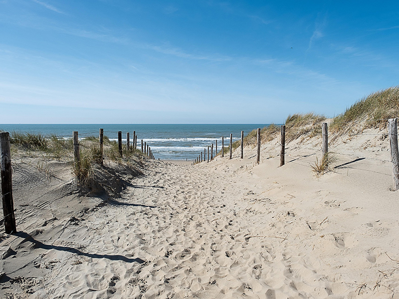 Programem la recerca de batxillerat